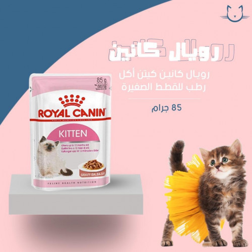 رويال كانين اظرف كيتن للقطط الصغيره 85 جرام