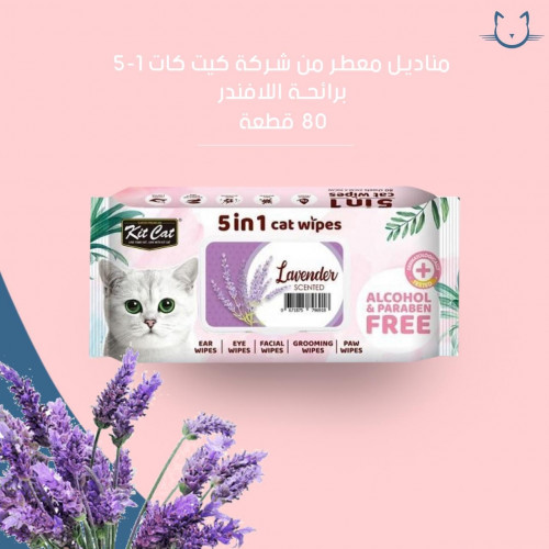 مناديل معطره من شركه كيت كات 1-5 برائحه  الافندر  80 قطعه