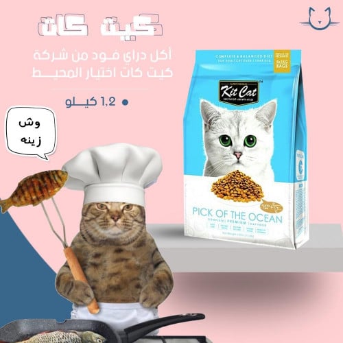 كيت كات اكل جاف كلاسيك للقطط الكبيره اختيار المحيط 1.2 كيلو