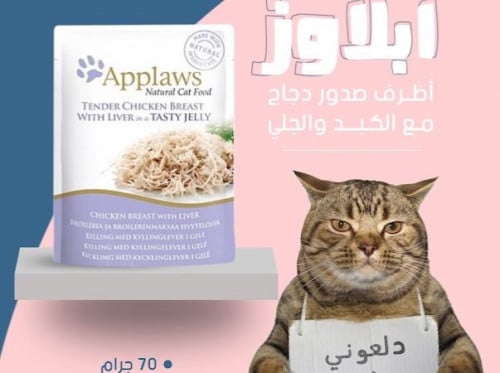 أظرف ابلاوز  صدور الدجاج مع الكبد والجلي  70 جرام