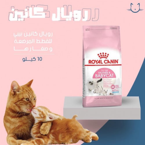 رويال كانين بيبي كات للام المرضعه وصغارها 10 كيلو