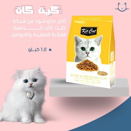 كيت كات اكل جاف كلاسيك للقطط الصغيره والحوامل   1.2 كيلو