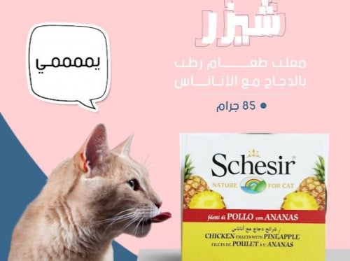 معلب شيزر طعام رطب بالدجاج مع الاناناس  85 جرام