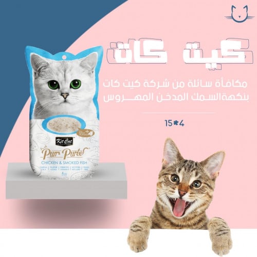 مكافئه سائله كيت كات بنكه السمك المدخن والسالمون