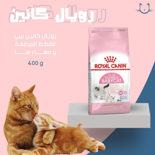 رويال كانين بيبي كات للام المرضعه واطفالها 400 حرام