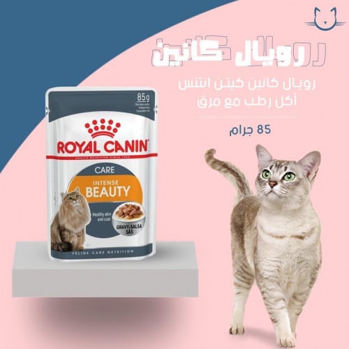 رويال كانين انتنس اظرف مع المرق  جرام 85