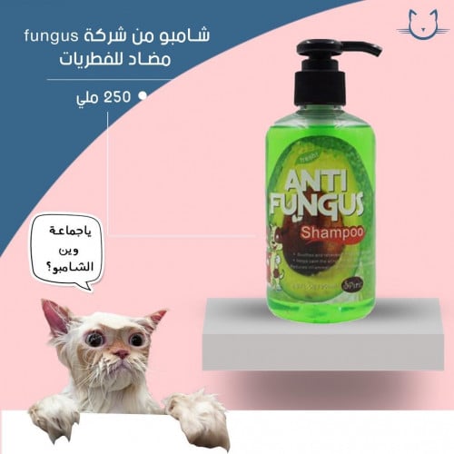 شامبو مضاد للفطريات من شركه fungus 250 ملي