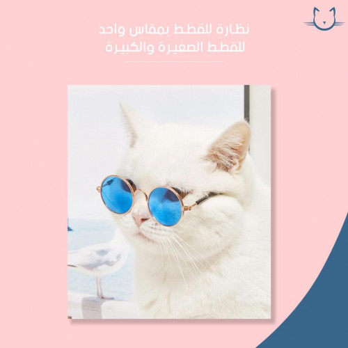 نظاره للقطط مقاس موحد للقطط الصغيره والكبيره
