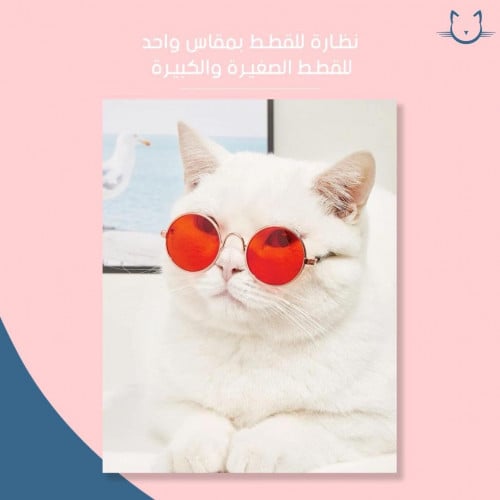 نظاره للقطط مقاس موحد للقطط الصغيره والكبيره