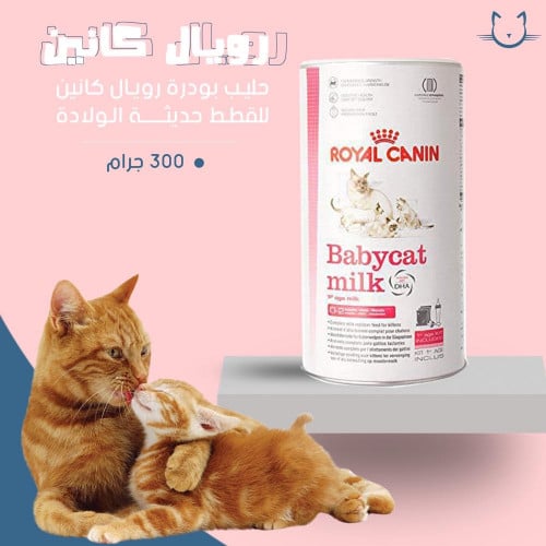 حليب بودر رويال كانين للقطط حديثه الولاده 300جرام