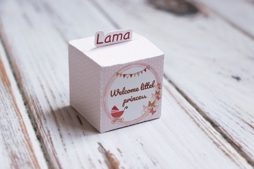 علبة توزيعات - Welcome little princess