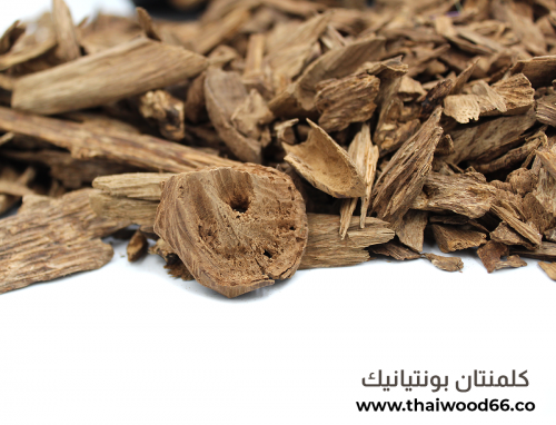 كلمنتان بونتيانيك