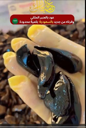 عدد 1 عود العنبر الملكي 1+1