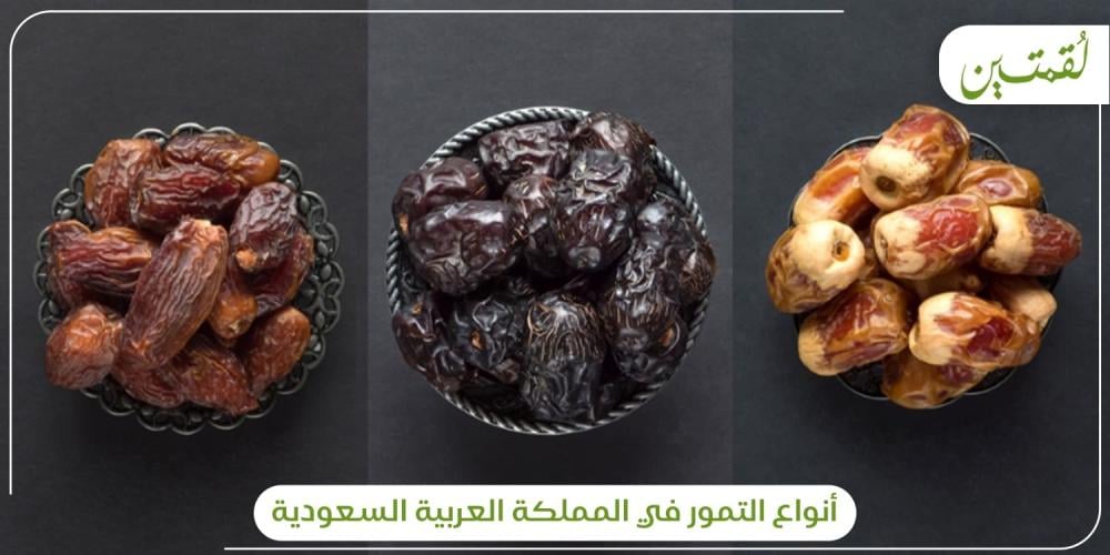 انواع التمور في السعوديه