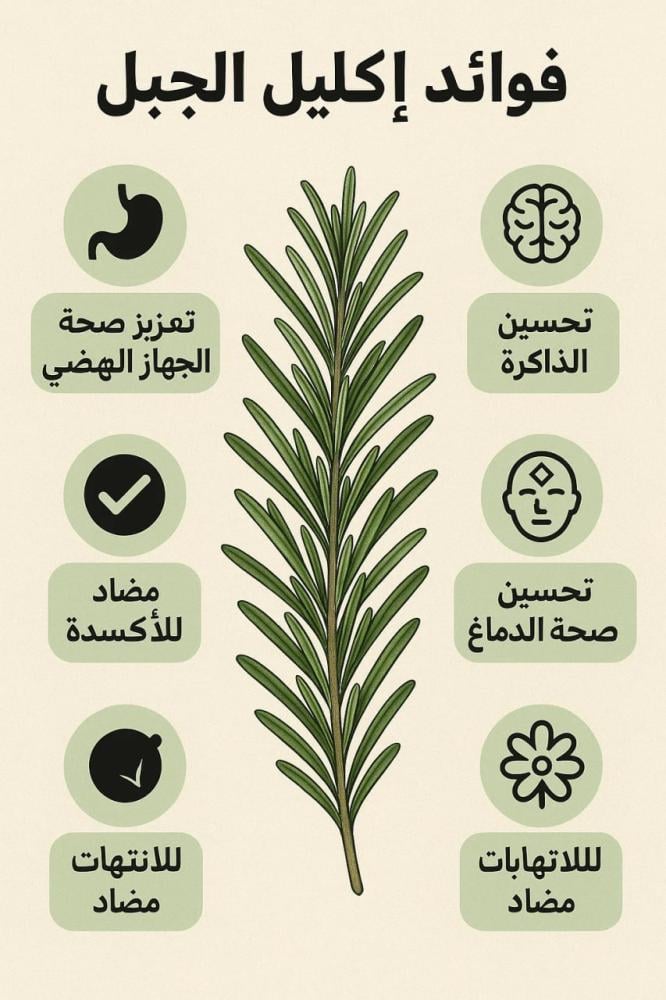 فوائد اكليل الجبل