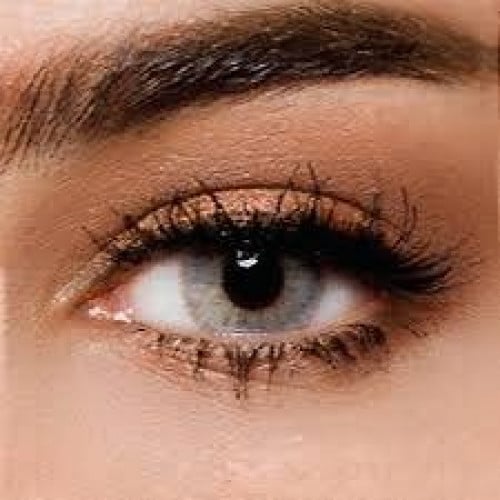 عدسات لارين  مونتانا- Montana