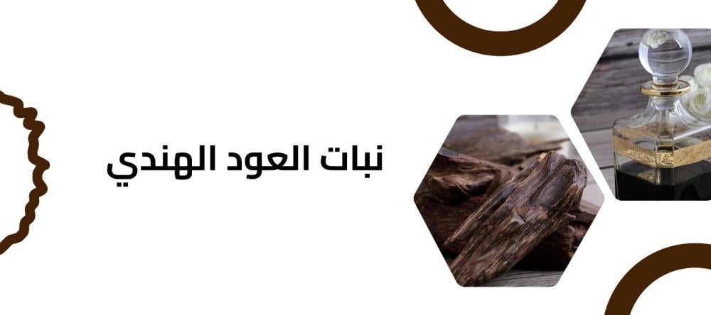 نبات العود الهندي