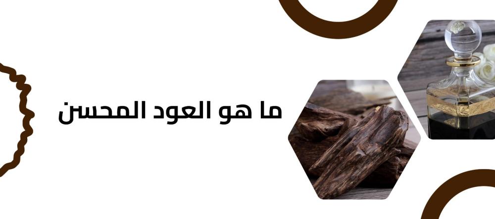 ما هو العود المحسن