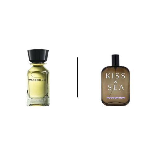 عطر صمام كيس اند سي فيكوس كاريكا او دو بارفيوم-100...