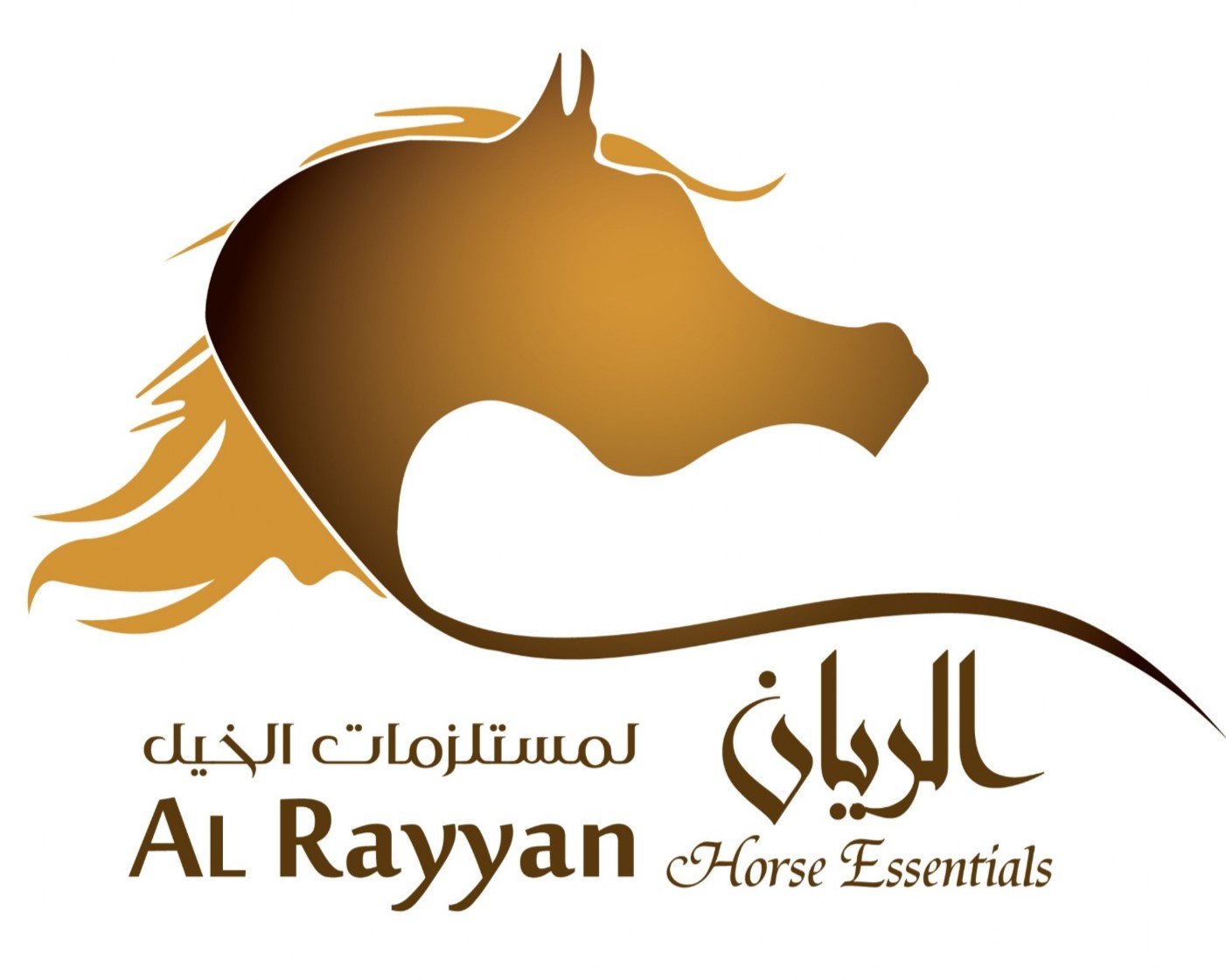 ركن الريان وعز النخبة