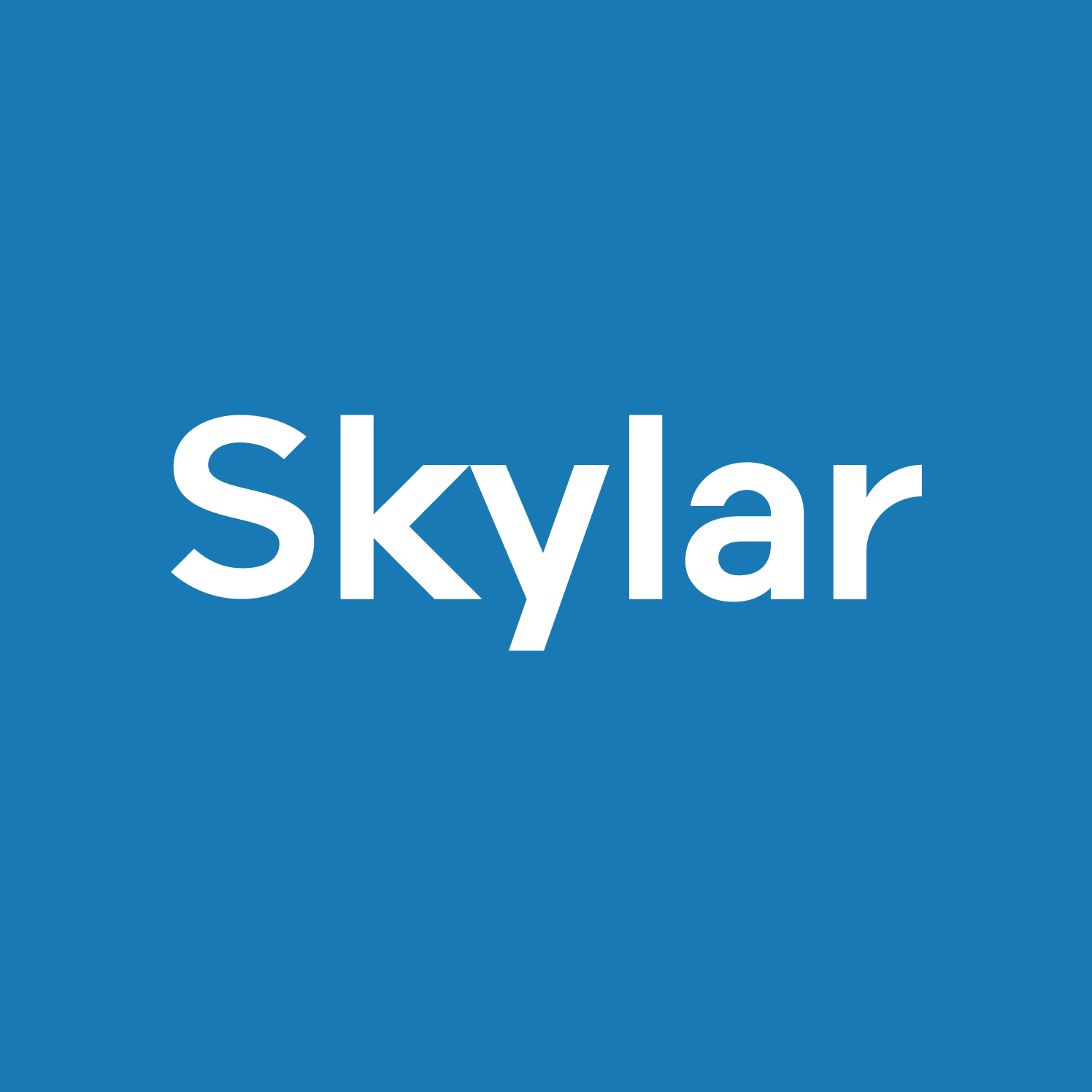 store avatar