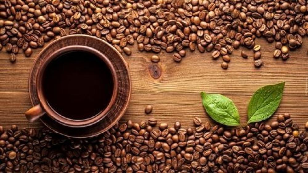 أفضل متجر قهوة في السعودية