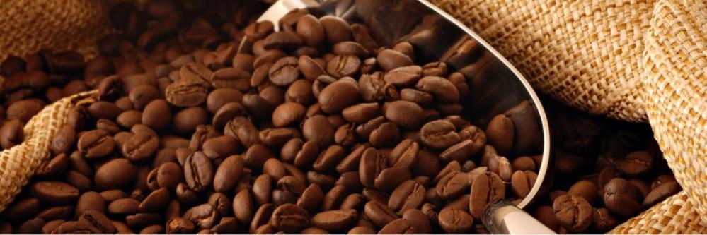 سلالات القهوة أسرار النكهة والتنوع في عالم البن