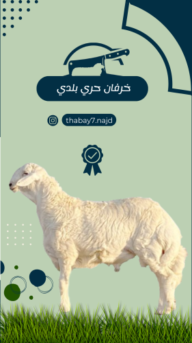 خروف حري