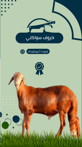 خروف سواكني