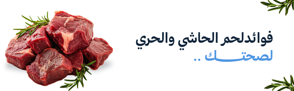 فوائد لحم الحاشي والحري لصحتك