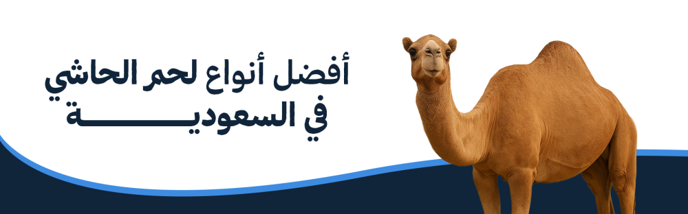 أفضل أنواع لحم الحاشي في السعودية: تعرف على مميزاته وفوائده