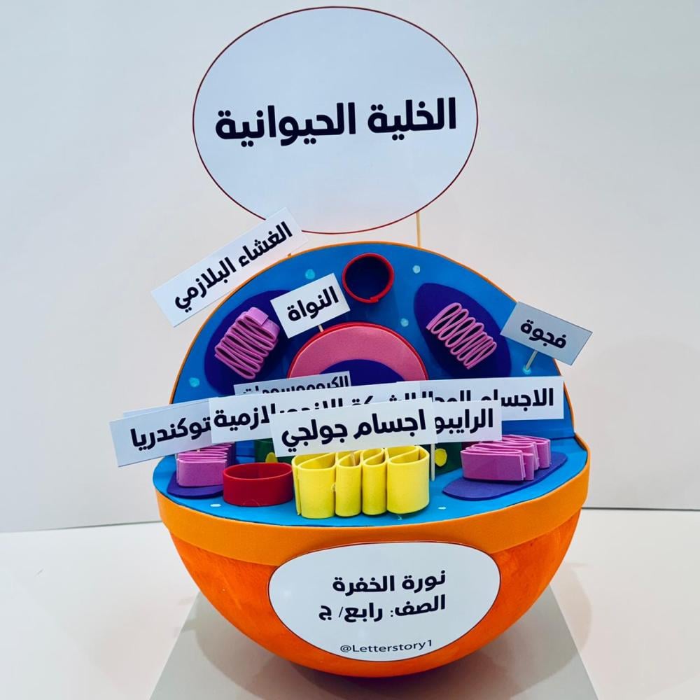 مجسم الخلية الحيوانية