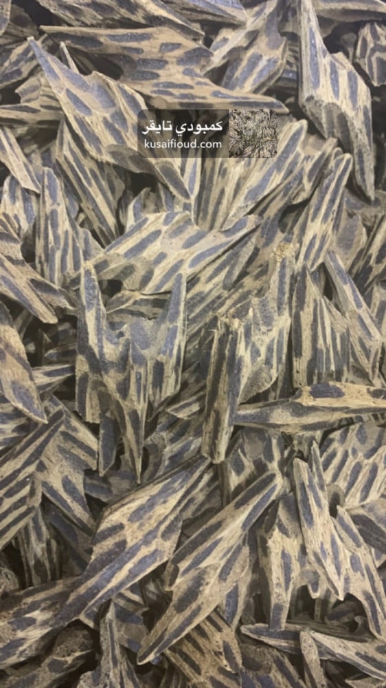 عود كمبودي تايقر