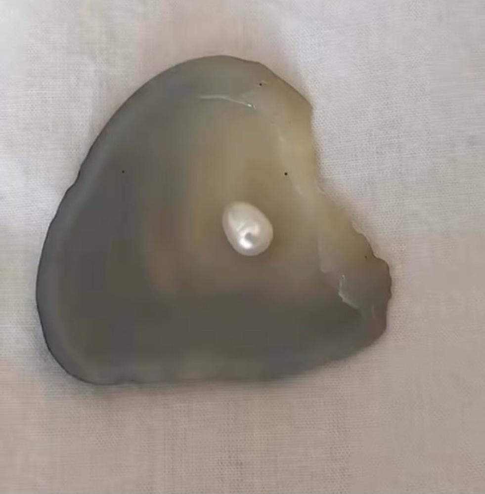 بكج المحار " الاكثر مبيعاً