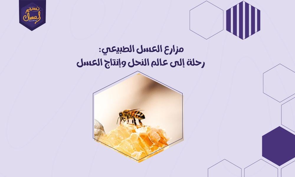 مناحل العسل الطبيعي: رحلة إلى عالم النحل وإنتاج العسل