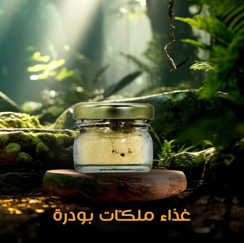 غذاء ملكات بودرة