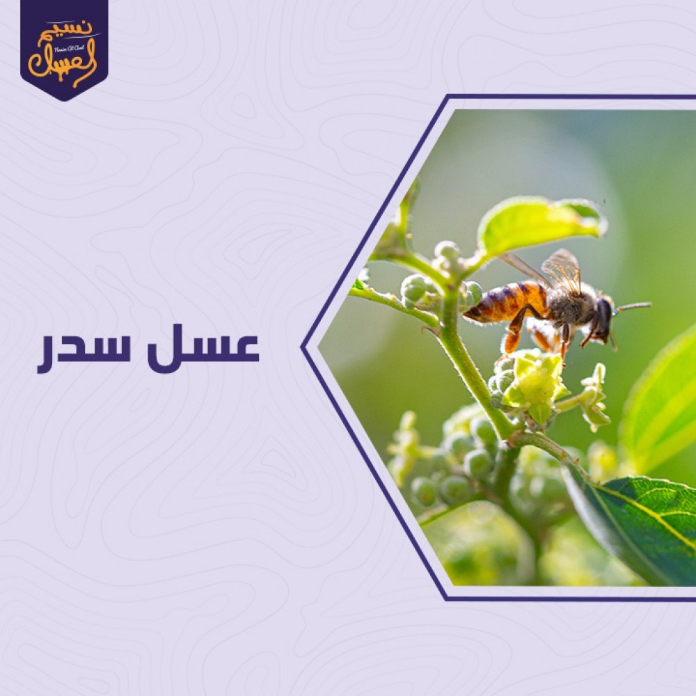 عسل السدر