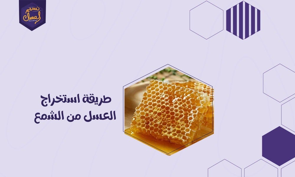 طريقة استخراج العسل من الشمع من البداية حتى النهاية
