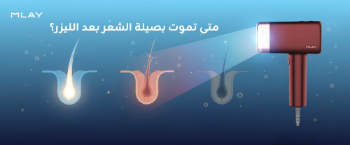 متى تموت بصيلة الشعر بعد الليزر؟