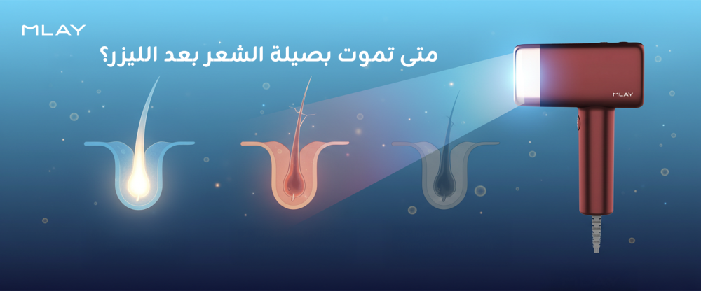 متى تموت بصيلة الشعر بعد الليزر؟