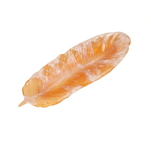 صحن الريشة