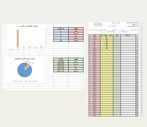 ملف تحليل نتائج الاختبار من 100 درجة Excel