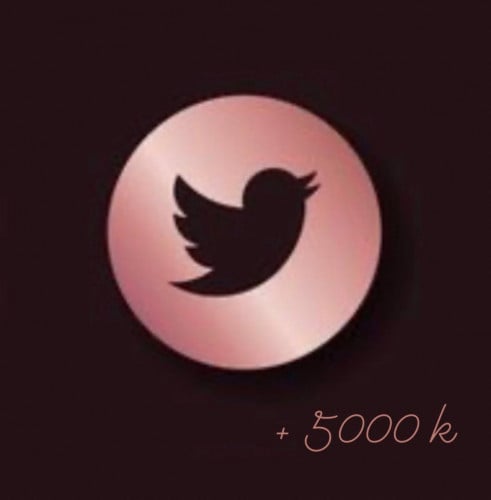 FOLLOWERS TWITEER 5000 ( NOT NEED PASSOWRD )