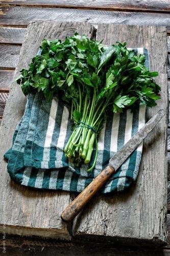 بقدونس بلدي ( متوارث ) -Heirloom parsley