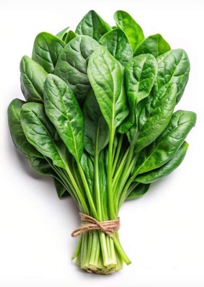 بذور سبانخ بطل الخليج  ( متوارث ) -Gulf Champion Spinach
