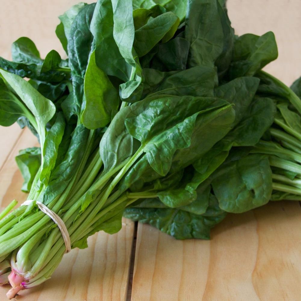 بذور سبانخ بطل الخليج  ( متوارث ) -Gulf Champion Spinach