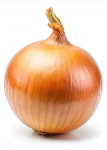 بذور بصل تشامبيون عالي الغلة - Onion CHAMPION High...