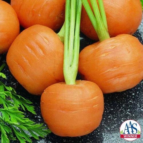 بذور الجزر الباريسي - Parisian Carrot