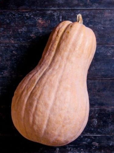 بذور القرع الشتوي والثام بوتيرنوت - Winter Squash...
