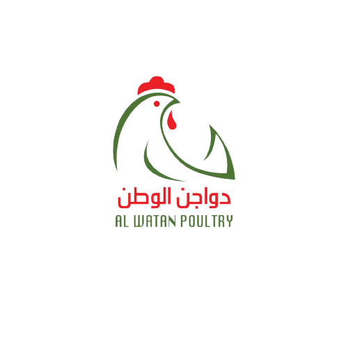 دجاج الوطن